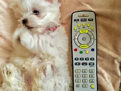 IMG_2017 03 08 15:15:25